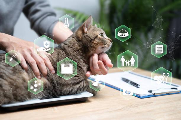 istockphoto-2153089037-612x612.jpg