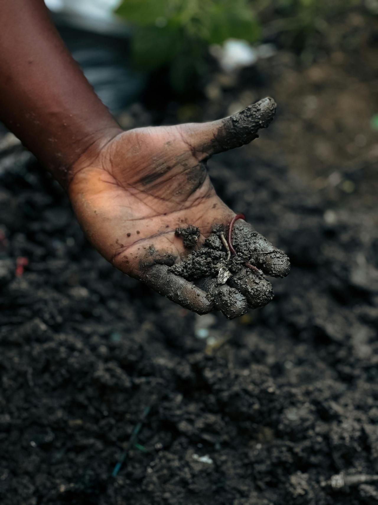 A hand holding soil with an earthworm, symbolizing connection to nature and agriculture.