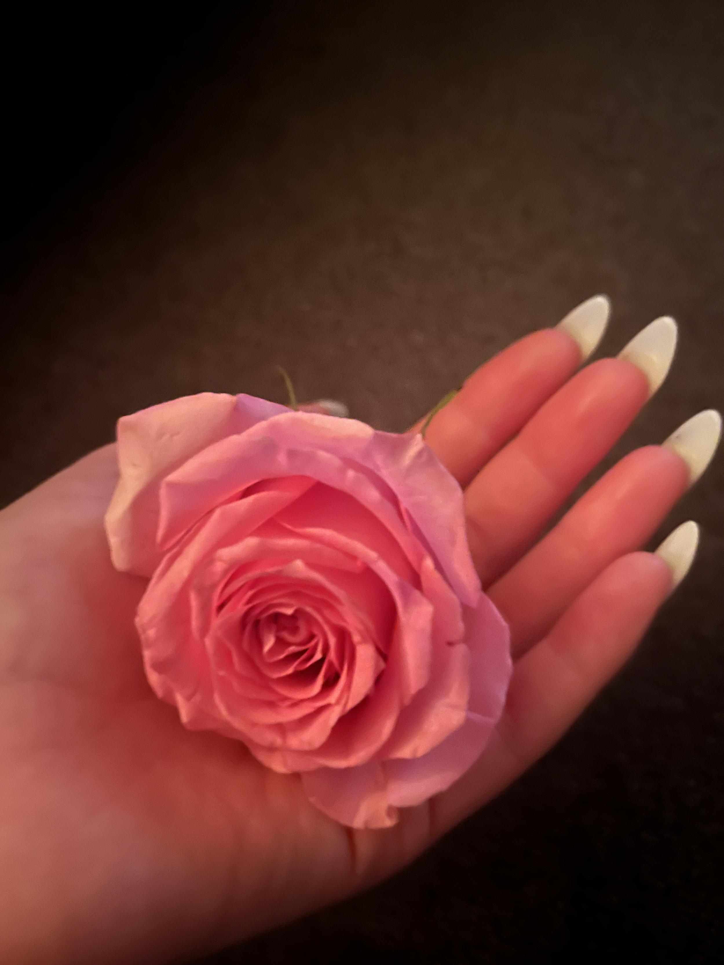 picture for website.jpg