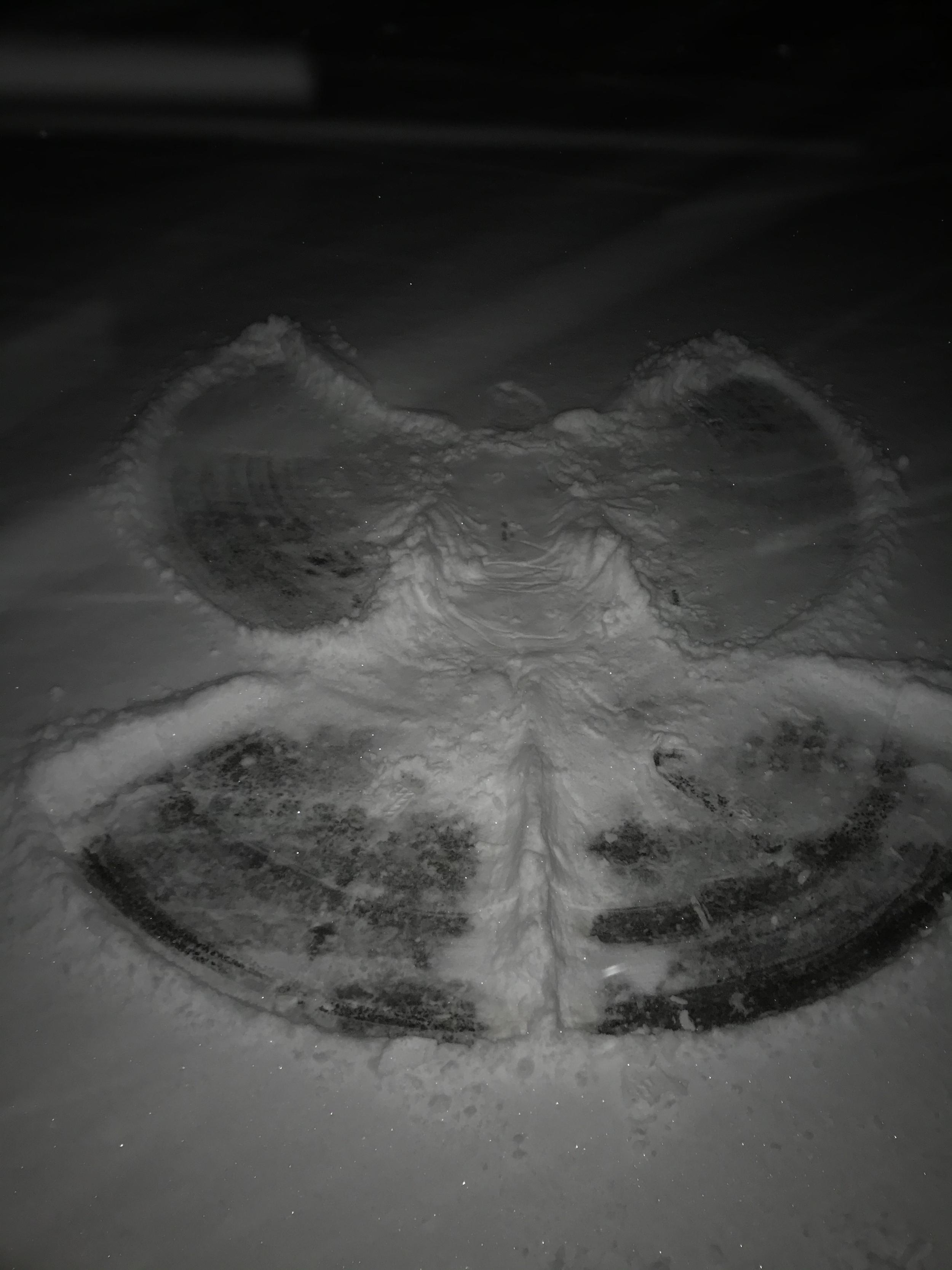snow angel.jpg