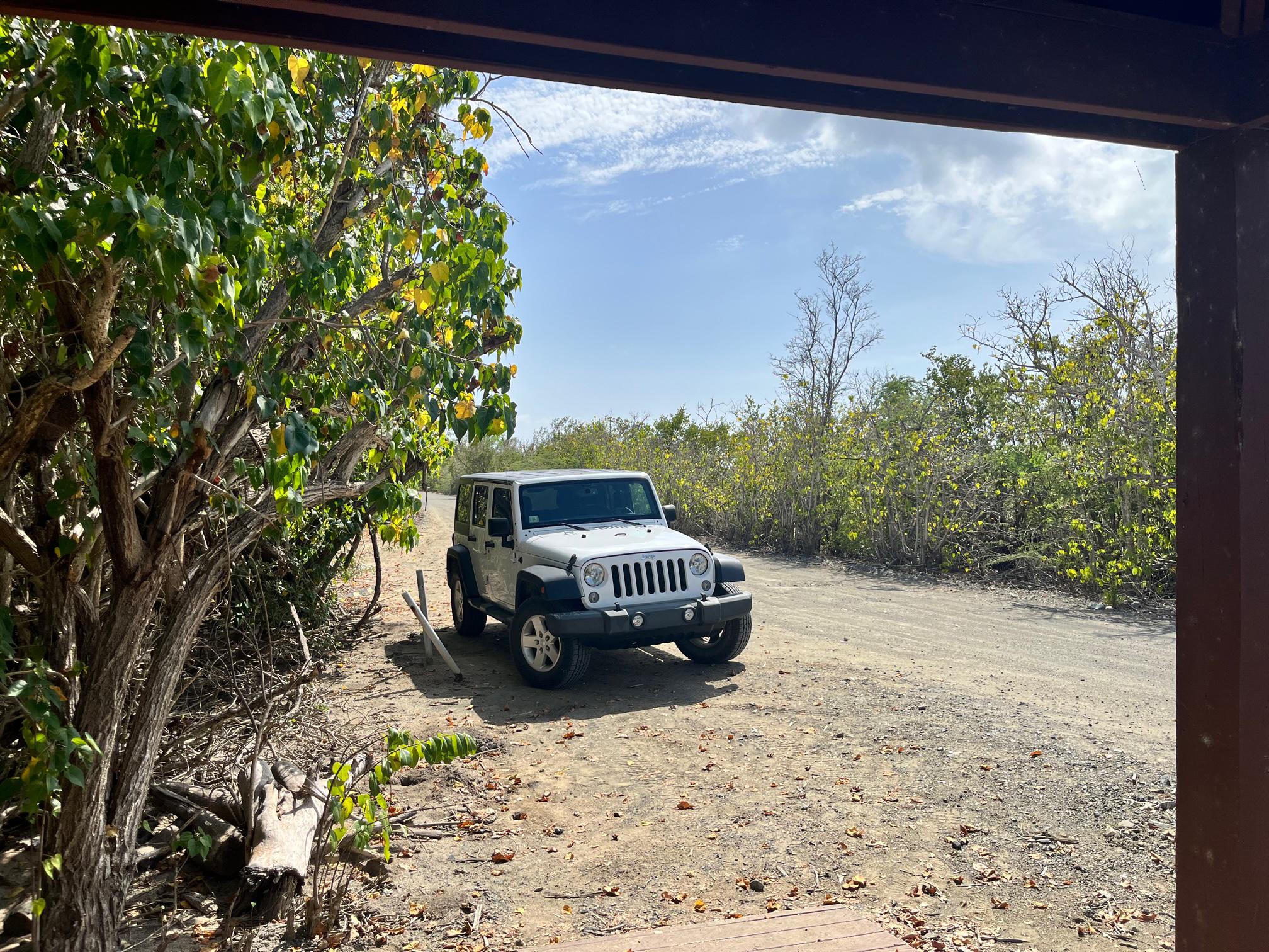 natalie jeep pic.jpg