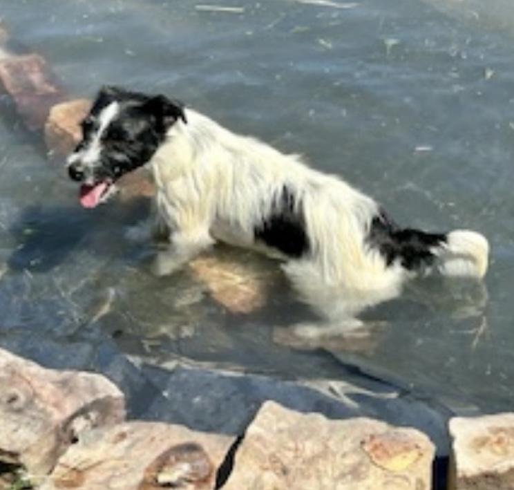 4Rivers Ruby Sue JR