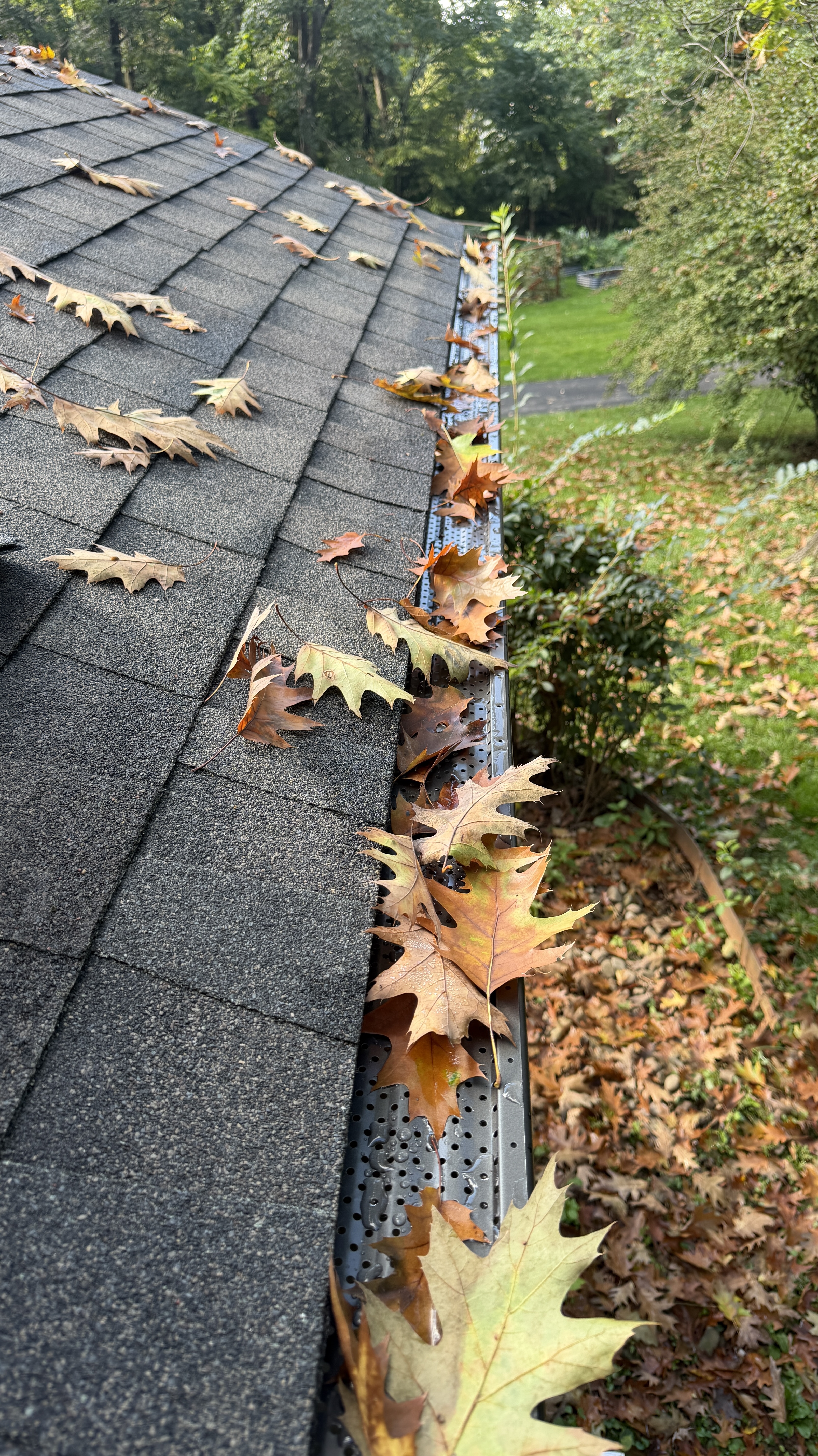 Before view of Lancaster roof showing roofline and existing condition