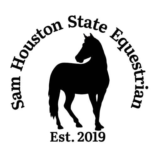 IMG_1603-removebg-preview.png