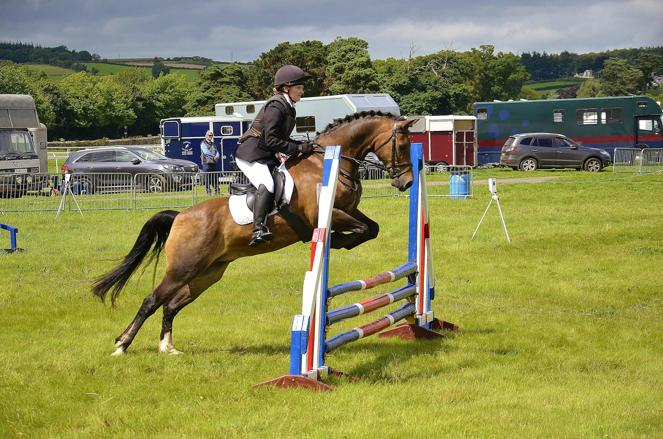 Taken at Chepstow show 2017 at Chepstow Racecourse. UK