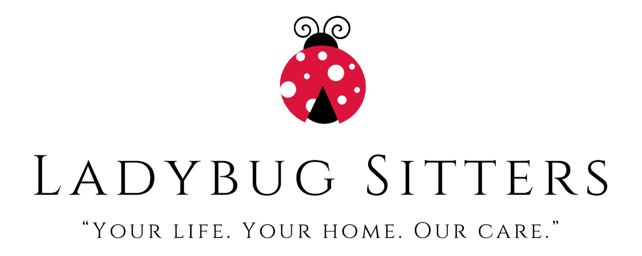 Screenshot 2026-01-22 175604-Photoroom.png