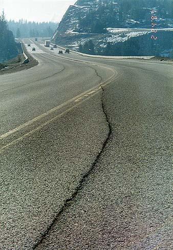 wsdot131.jpg