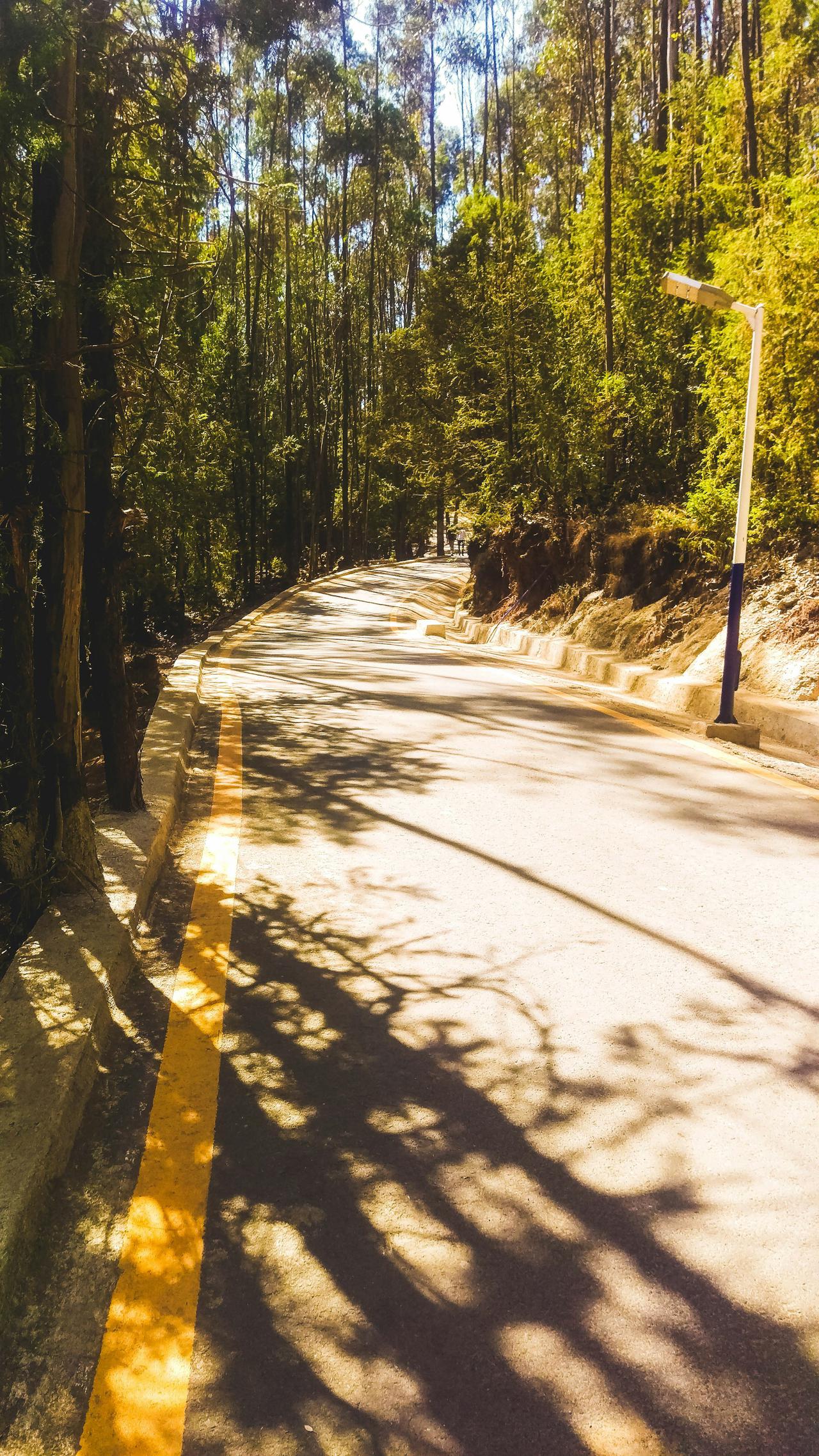 Entoto Park, Addis Ababa, Ethiopia