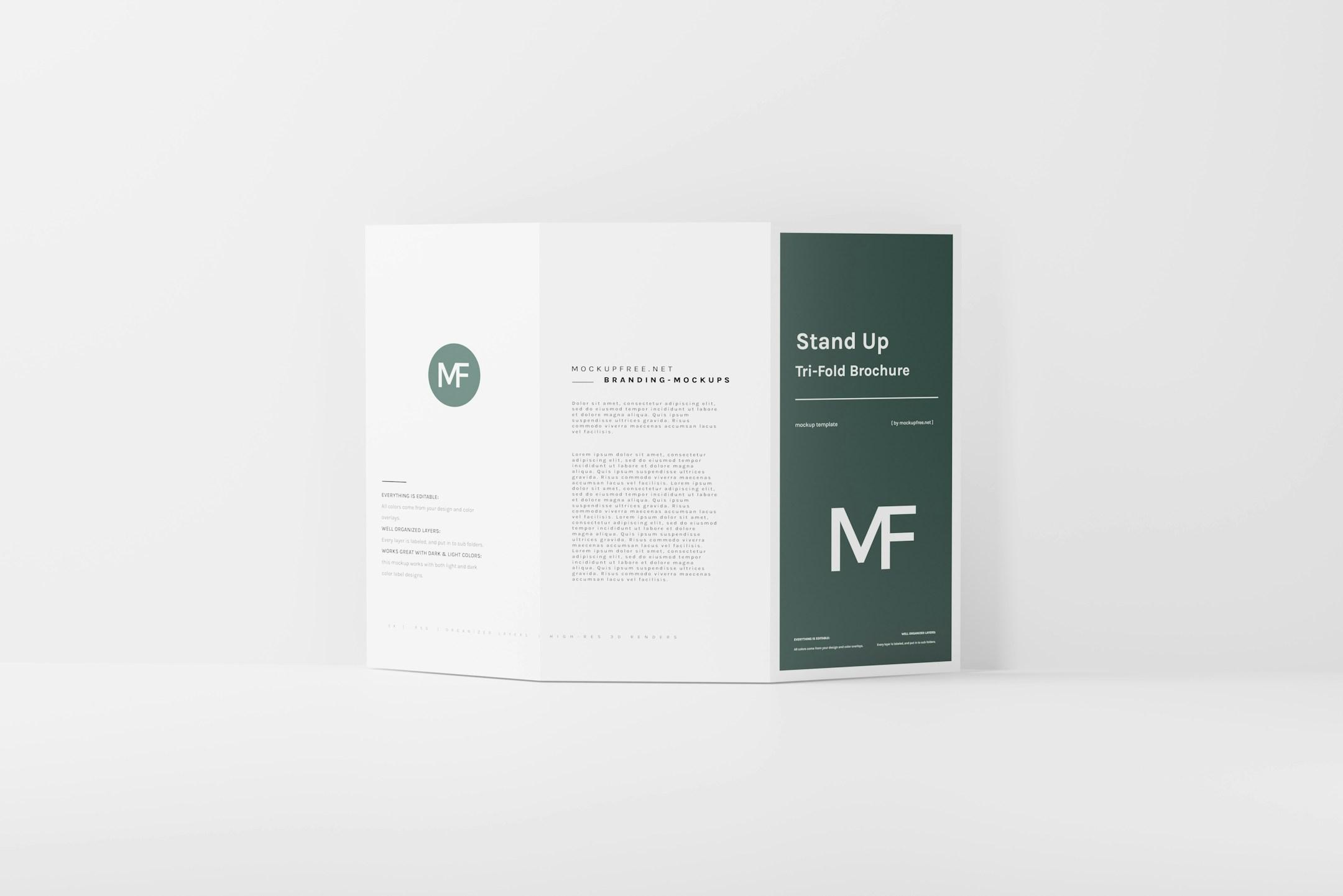 Stand Up Tri-Fold Brochure Mockups, Download the PSD version of this mockup for free from https://mockupfree.net