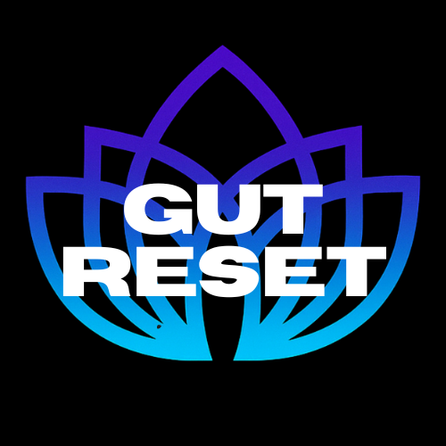 r360 - website -gut reset  logo.png