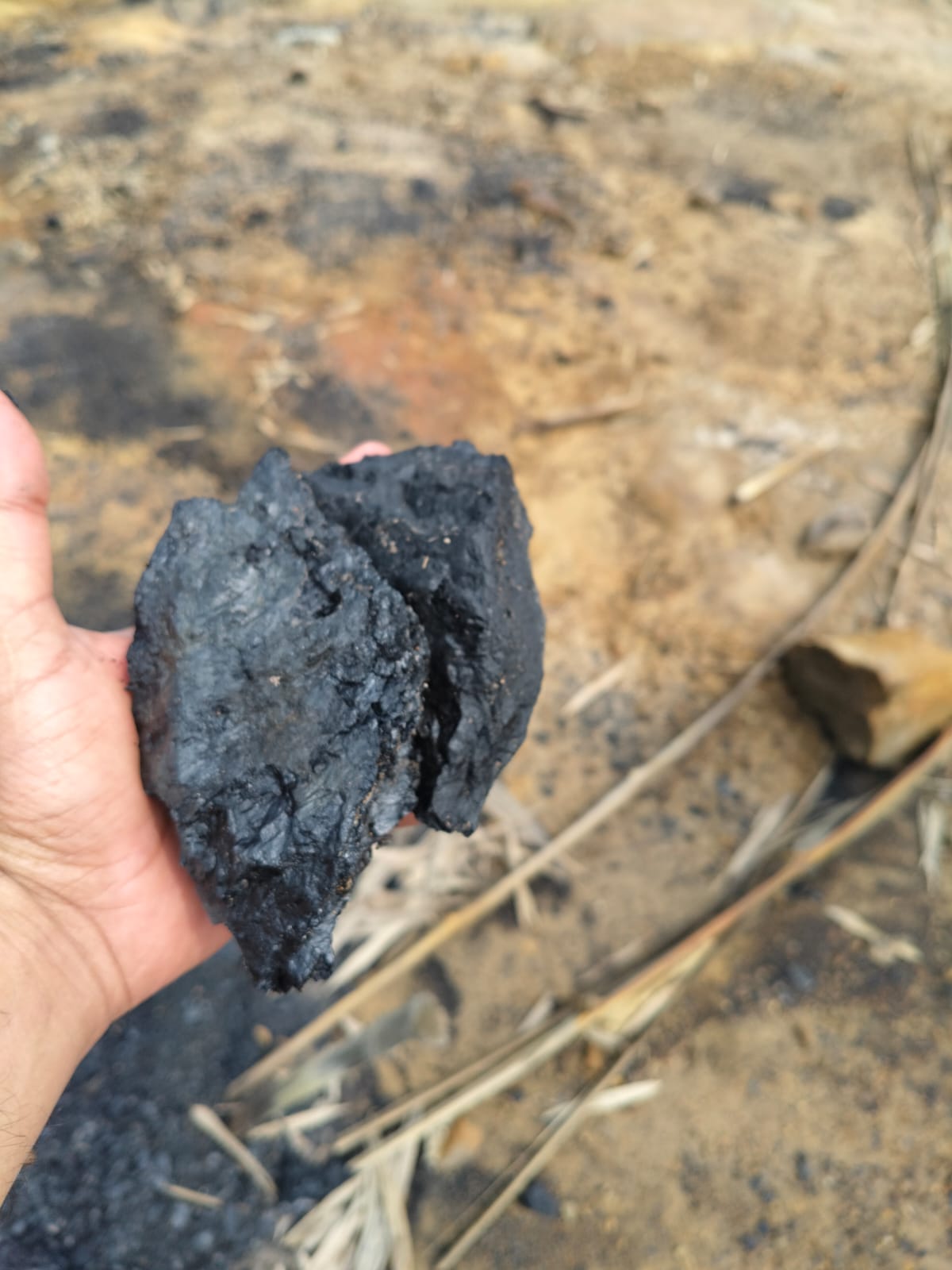 Coal Resource Evaluation