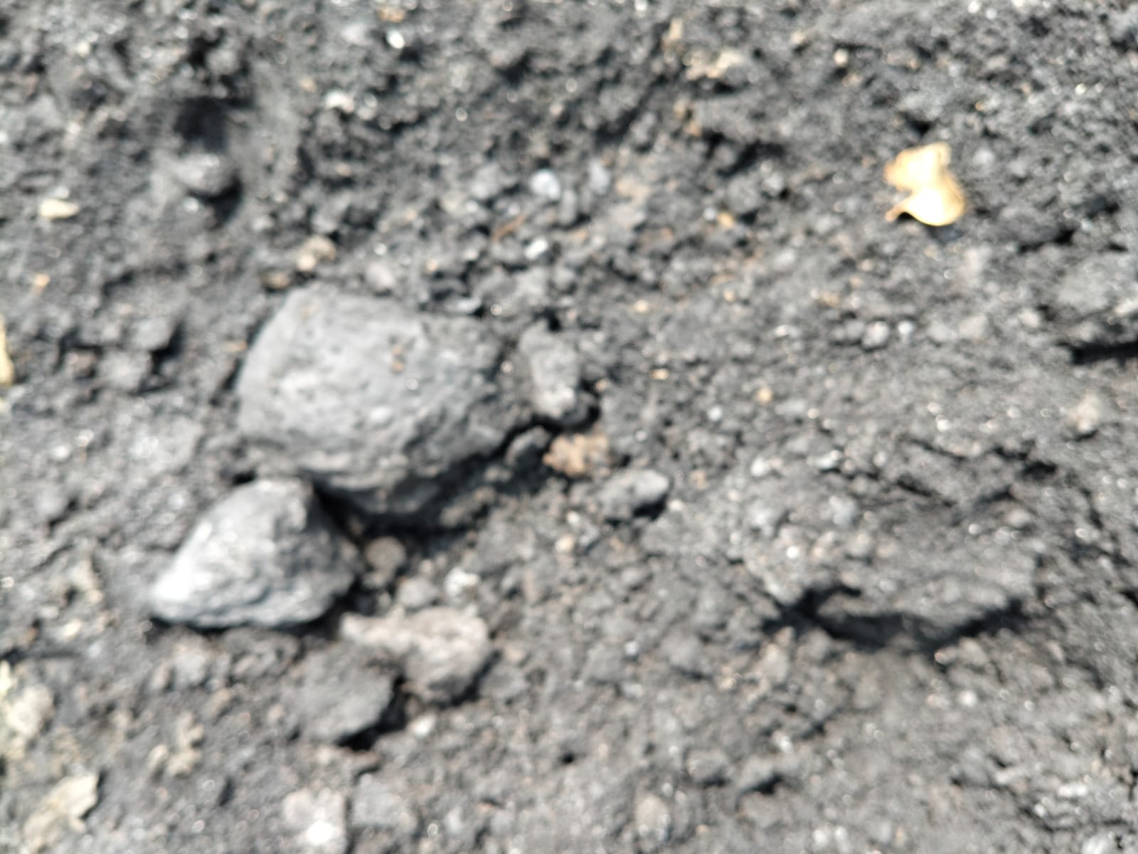 Coal Deposit