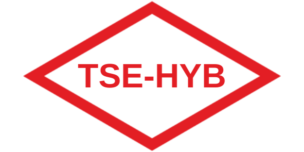 TSE Hizmet Yeterlilik Belgesi