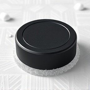NHL Hockey Puck