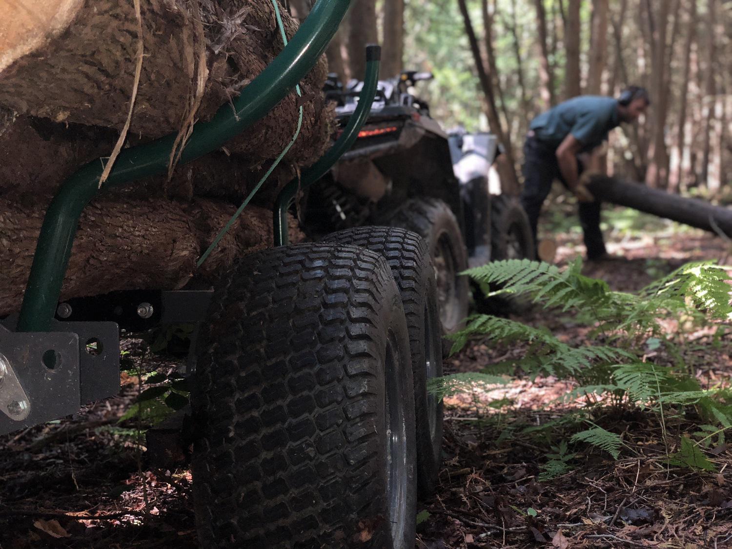 copy of img_3815.jpg