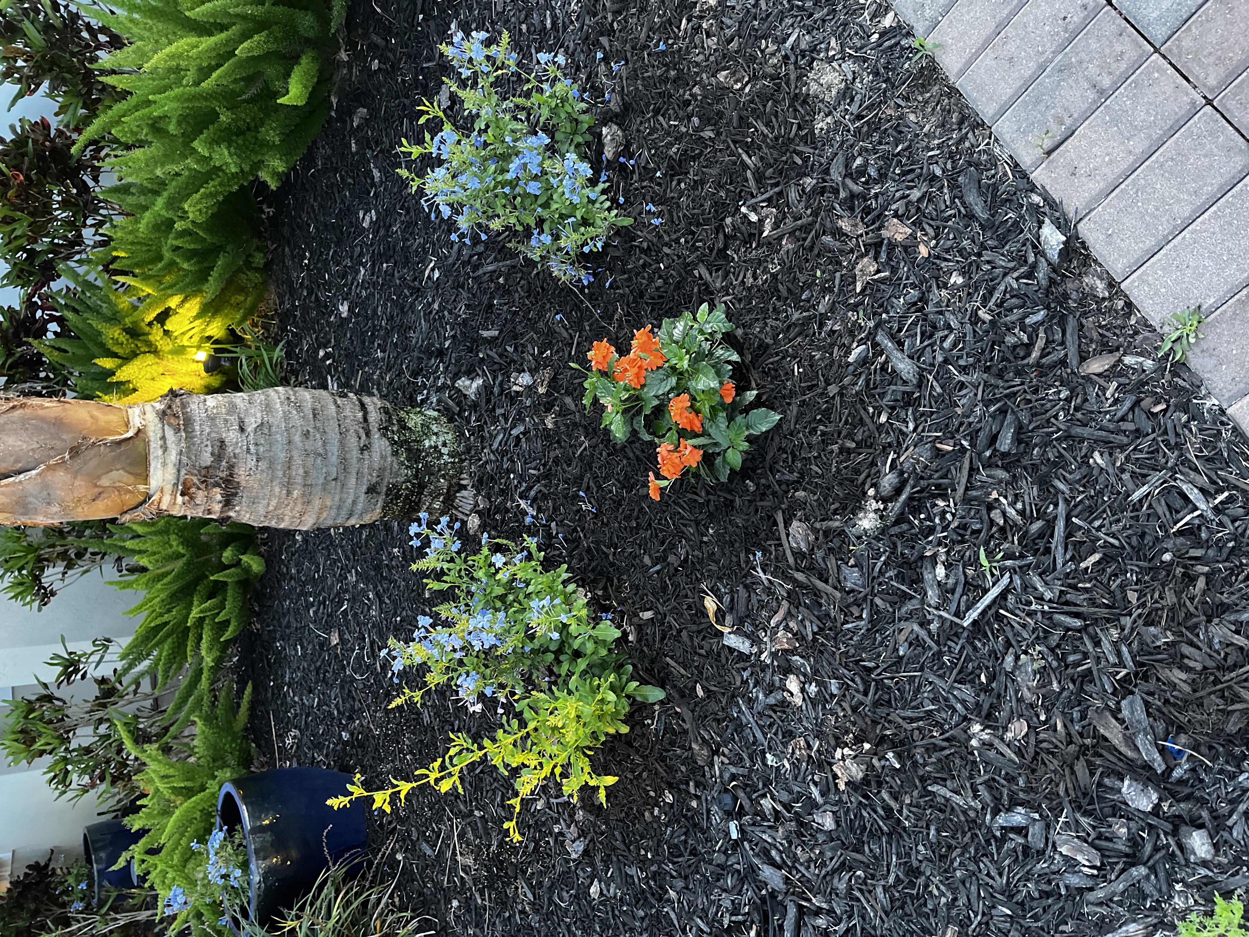 Landscape design project