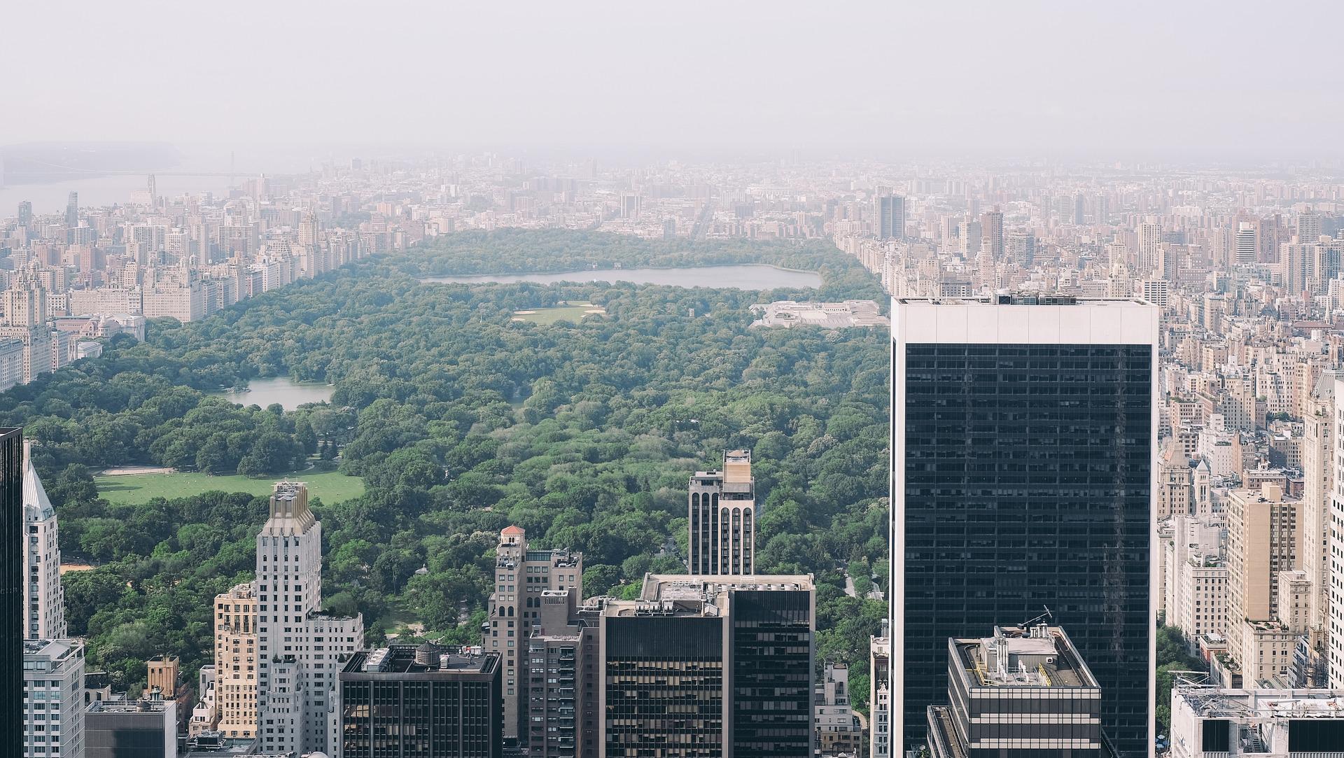 Central Park guided tour.
