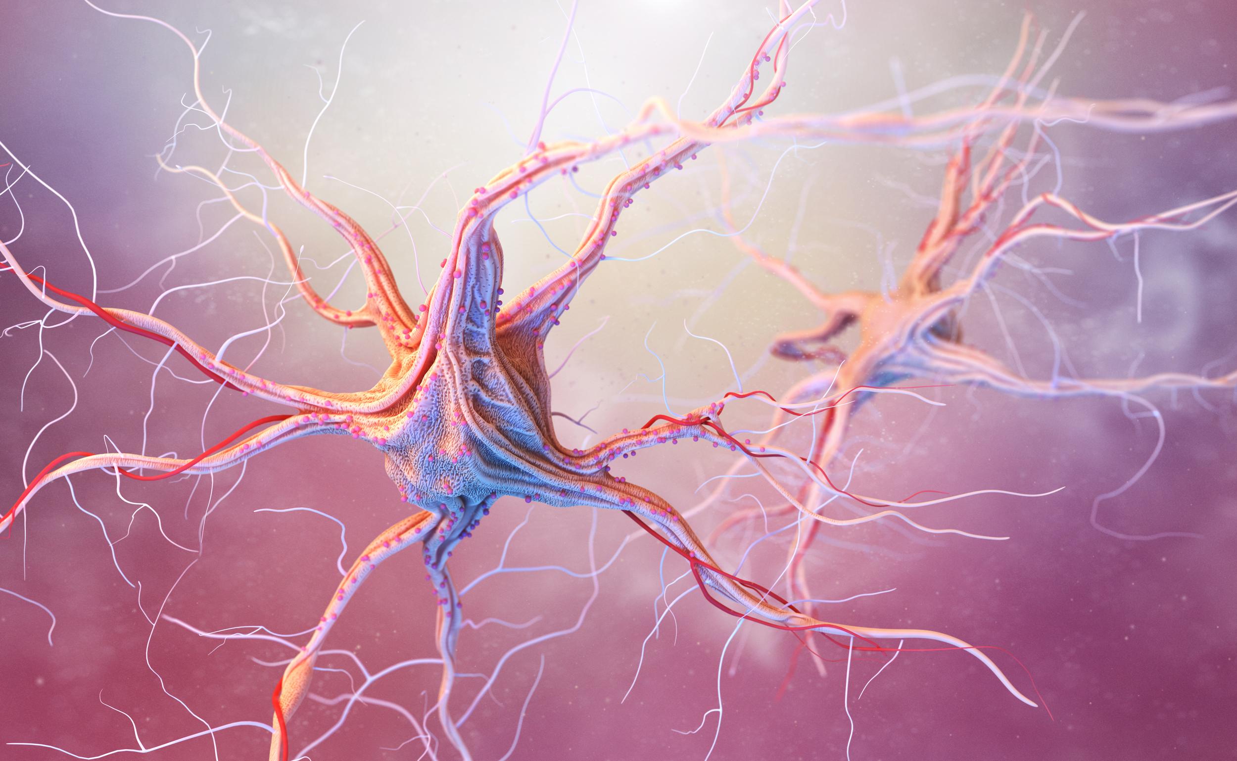 detailed-digital-rendering-of-neuron-cells-2026-03-13-04-14-16-utc.jpg