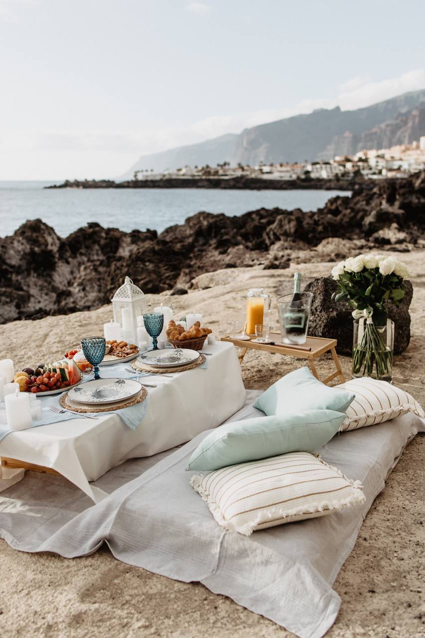 Cozy Standard picnic by the ocean