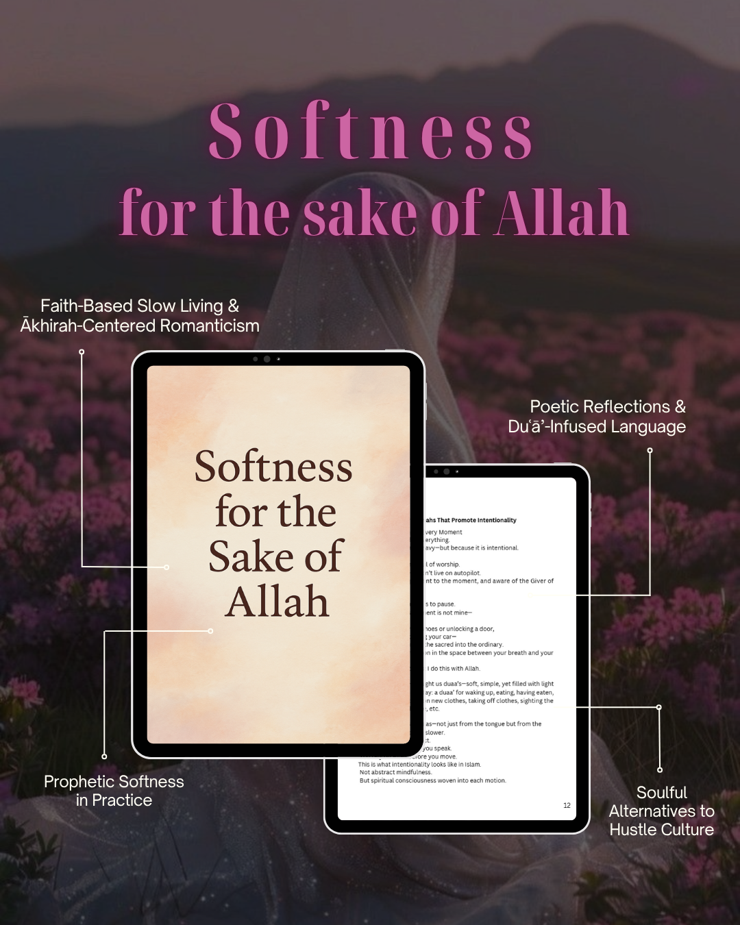 softeness ebook pic.png