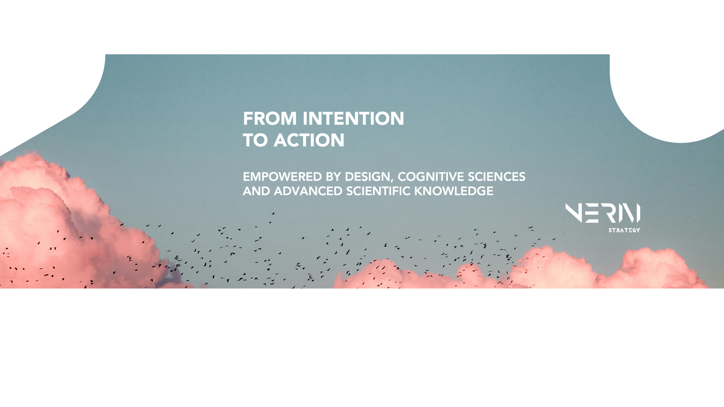 bannière linkedin.png