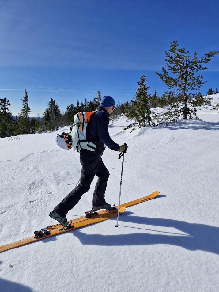 skitouring.jpg