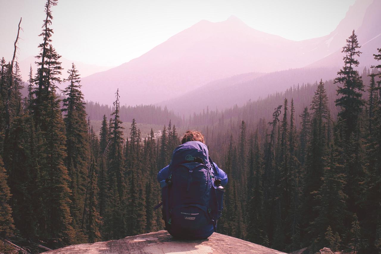 Beautiful Scene in Canada British Columbia