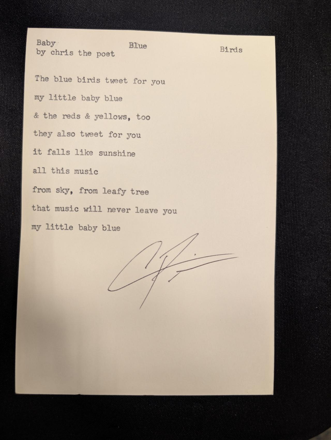 Original typewritten poem Baby Blue Birds by Chris the Poet