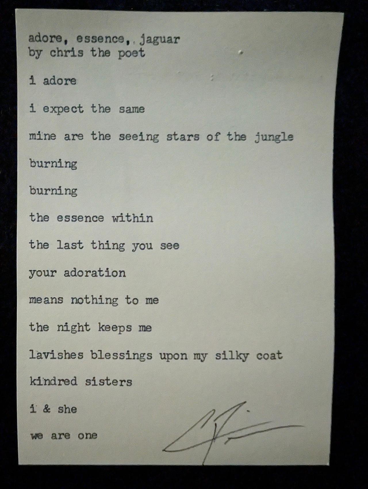 Original typewritten poem adore, essence, jaguar by Chris the Poet
