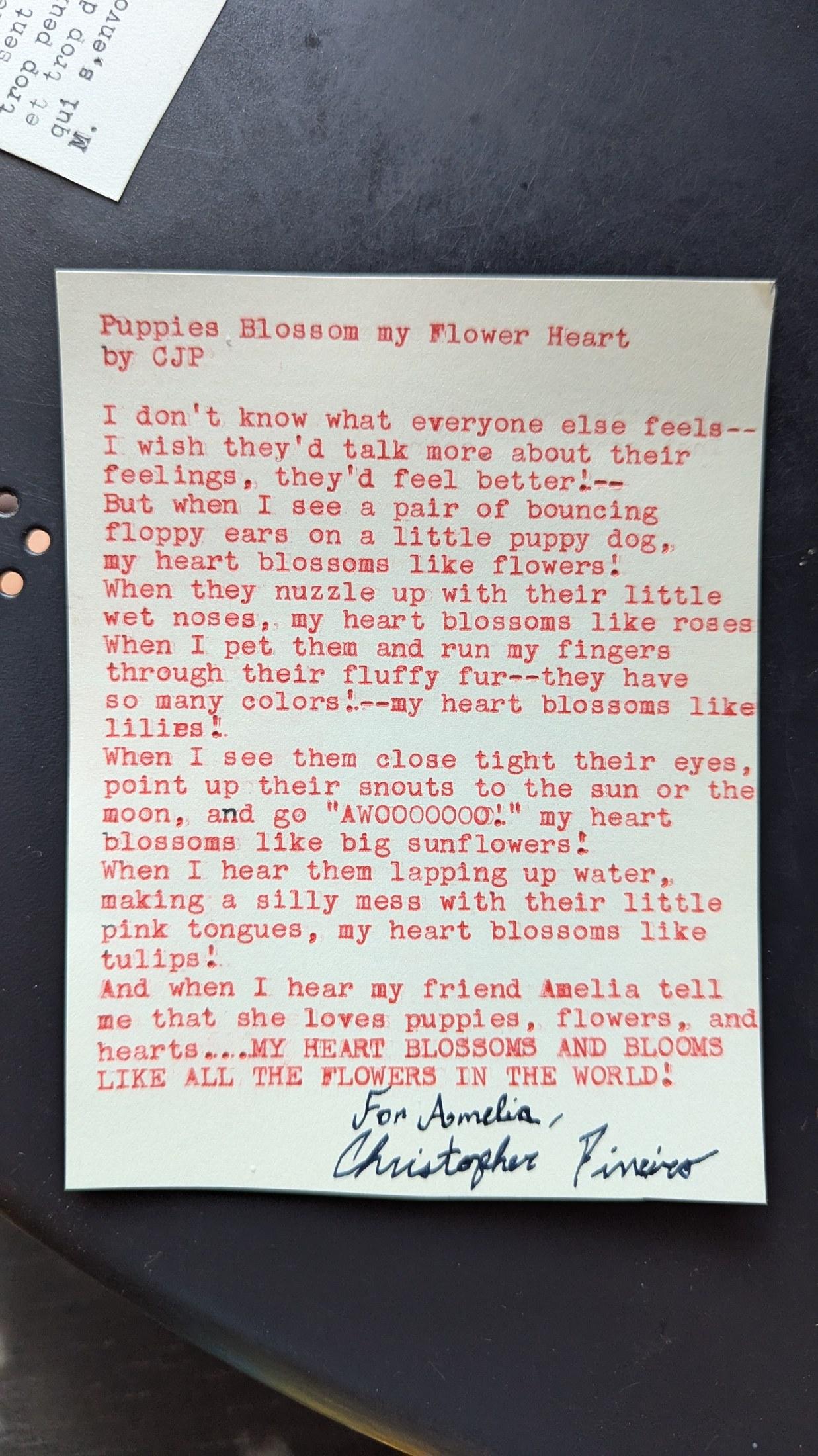Original typewritten poem Puppies Blossom my Flower Heart by Chris the Poet
