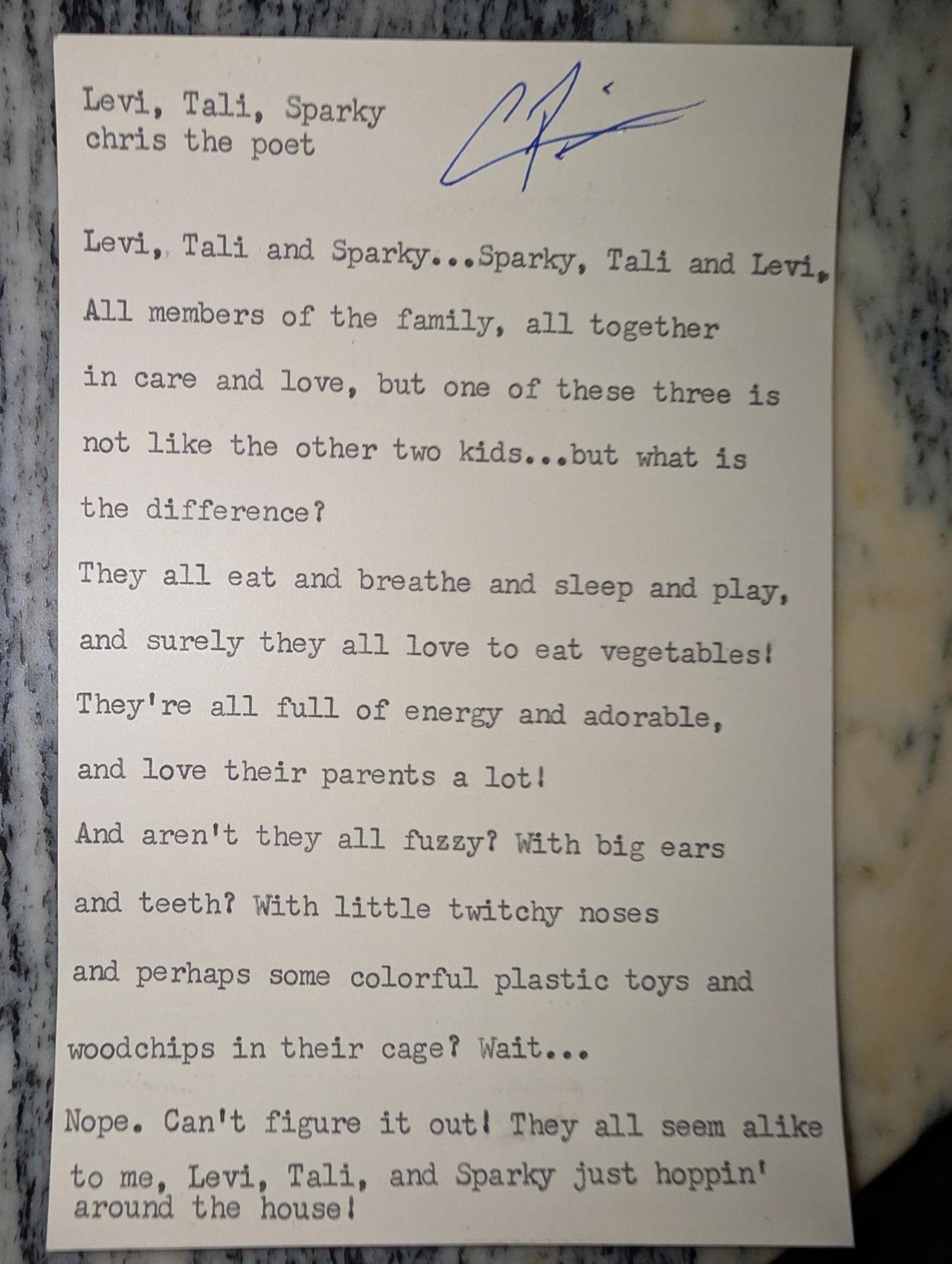 Original typewritten poem Levi, Tali, Sparky by Chris the Poet