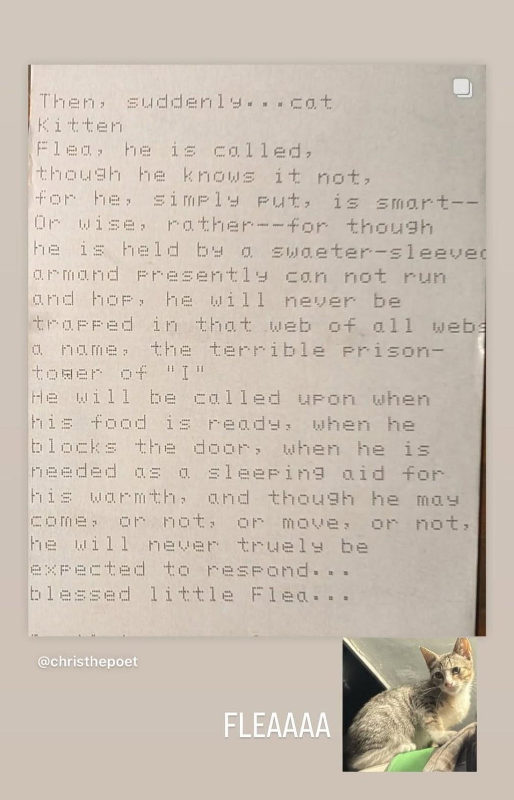 Original typewritten poem Then, suddenly...cat by Chris the Poet