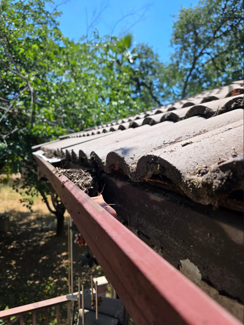 Gutter Cleaning & Maintenance