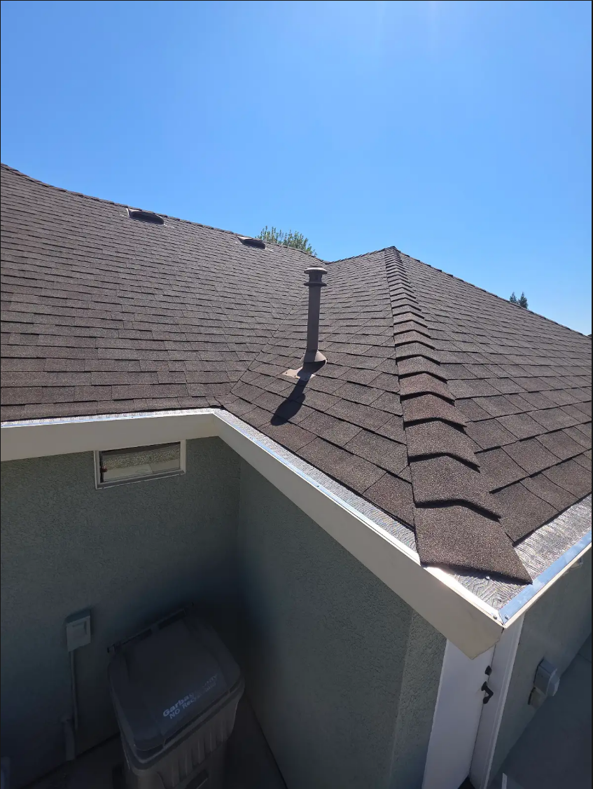 LeafBlaster Pro Gutter Protection