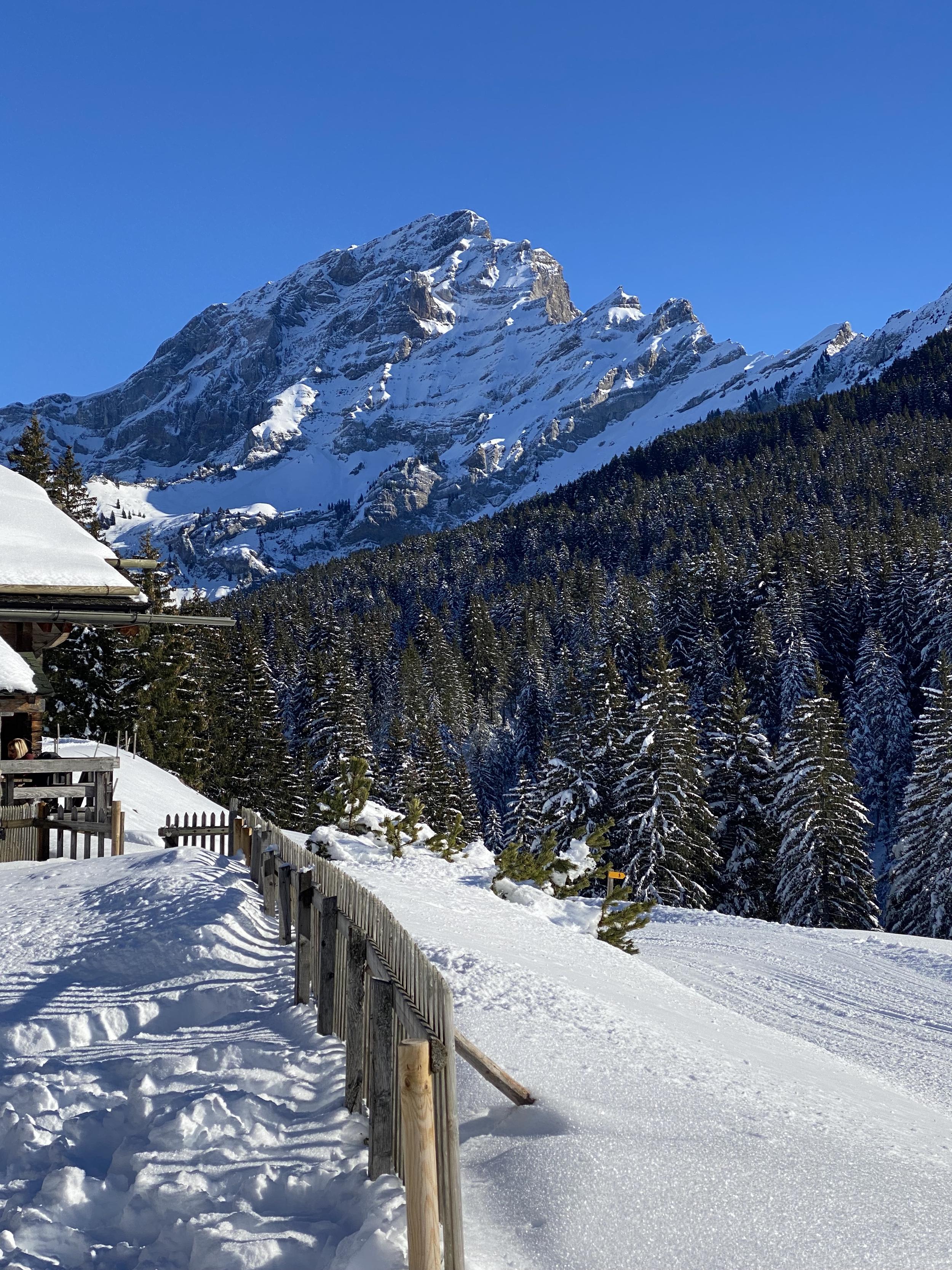villars b.jpg