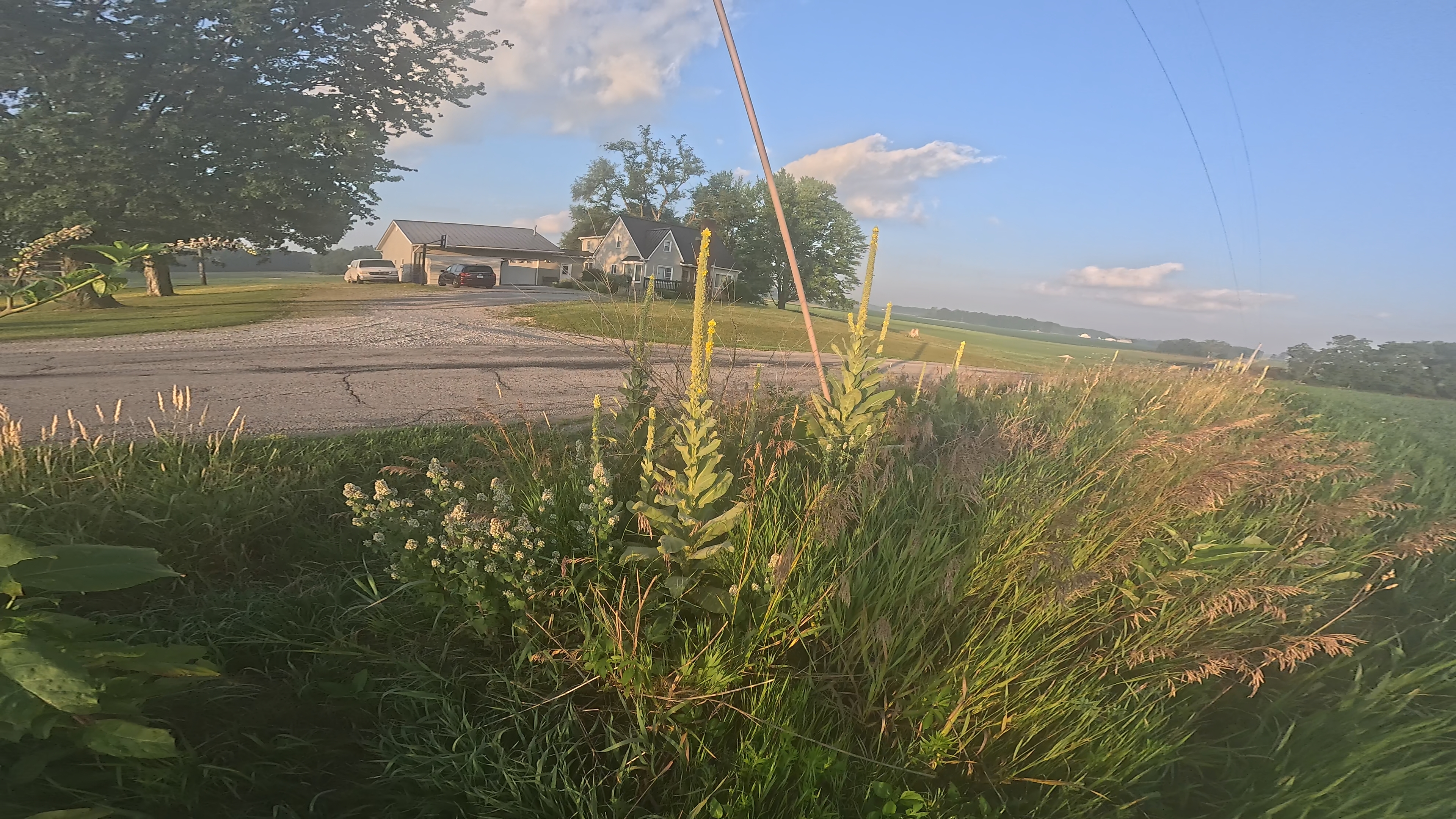 Regenerative farm landscape at golden hour