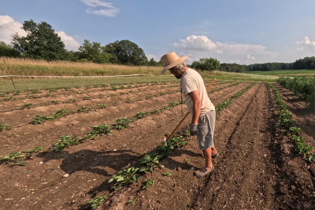 U-Pick Produce
