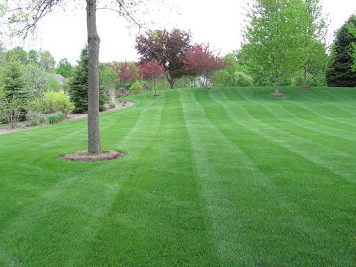 mowing.jpg