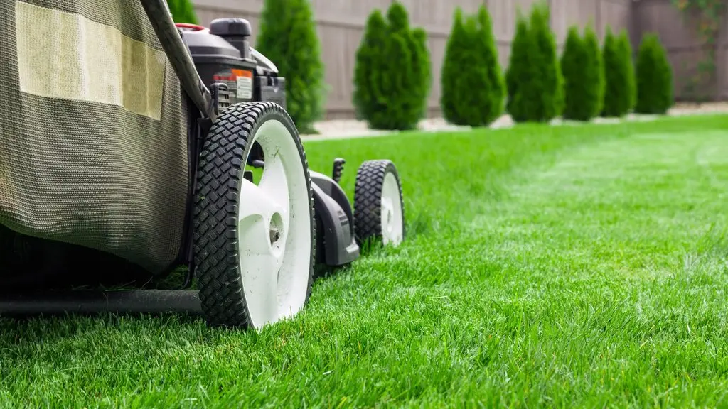 lawn care.webp