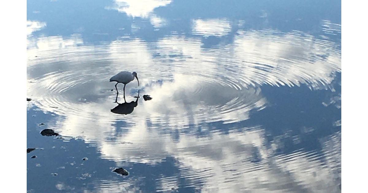 Prenatal & Postnatal Acupuncture Services Cleveland Acupuncture