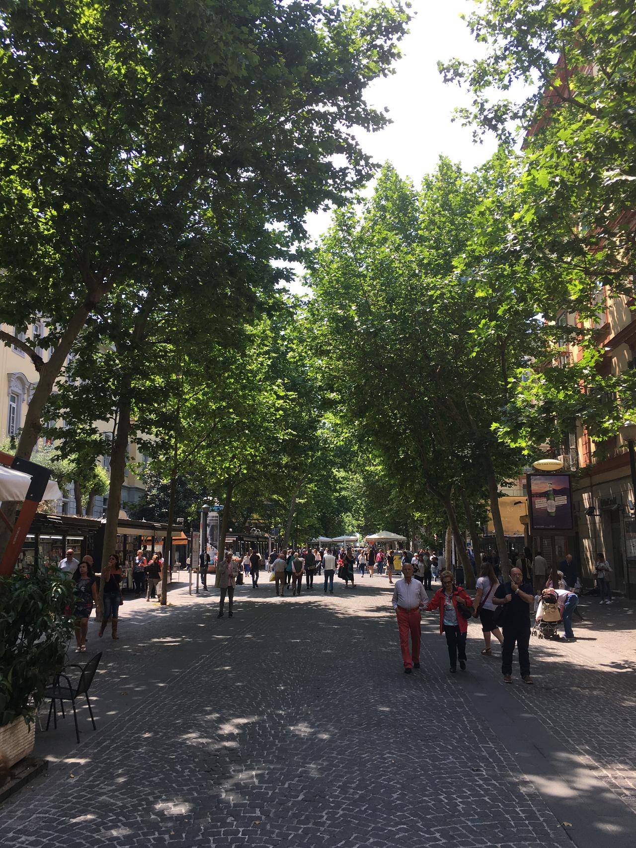 via_luca_giordano_-_2_-_naples_(2017).jpg