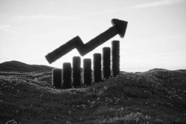 growth-1733230736317.jpg