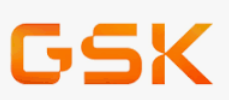 gsk logo.png