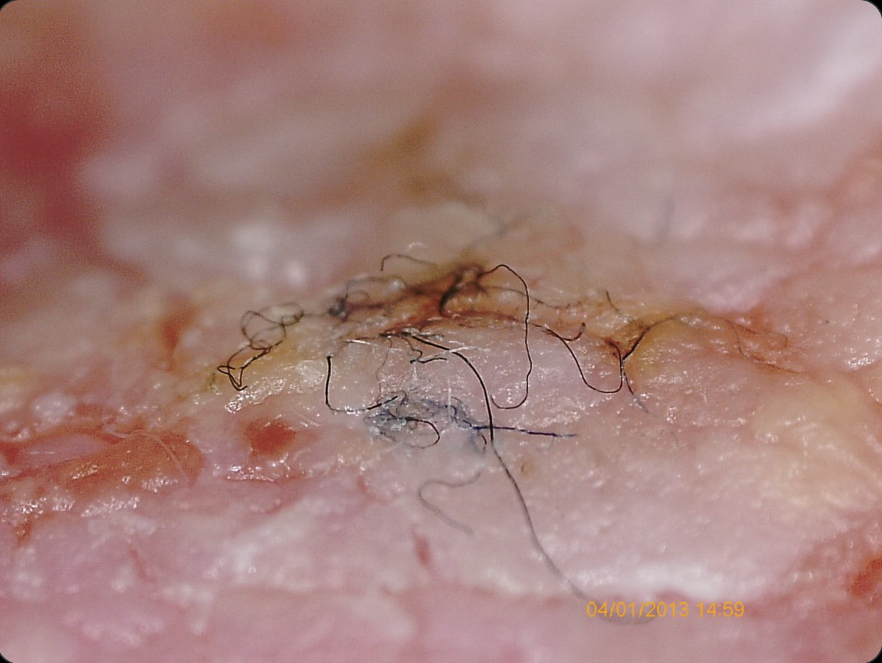 screen shot 2020-12-07 at 10.58.11 pm.png