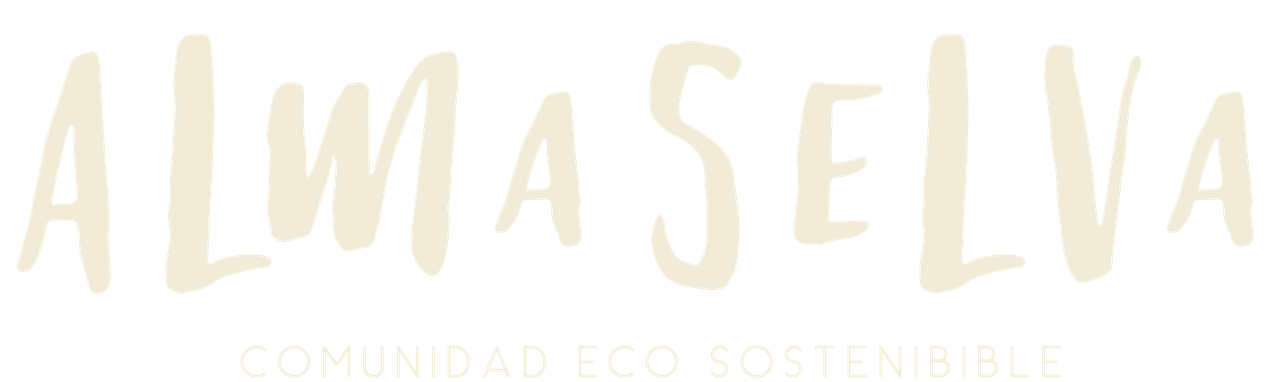 12-1754681398519.png