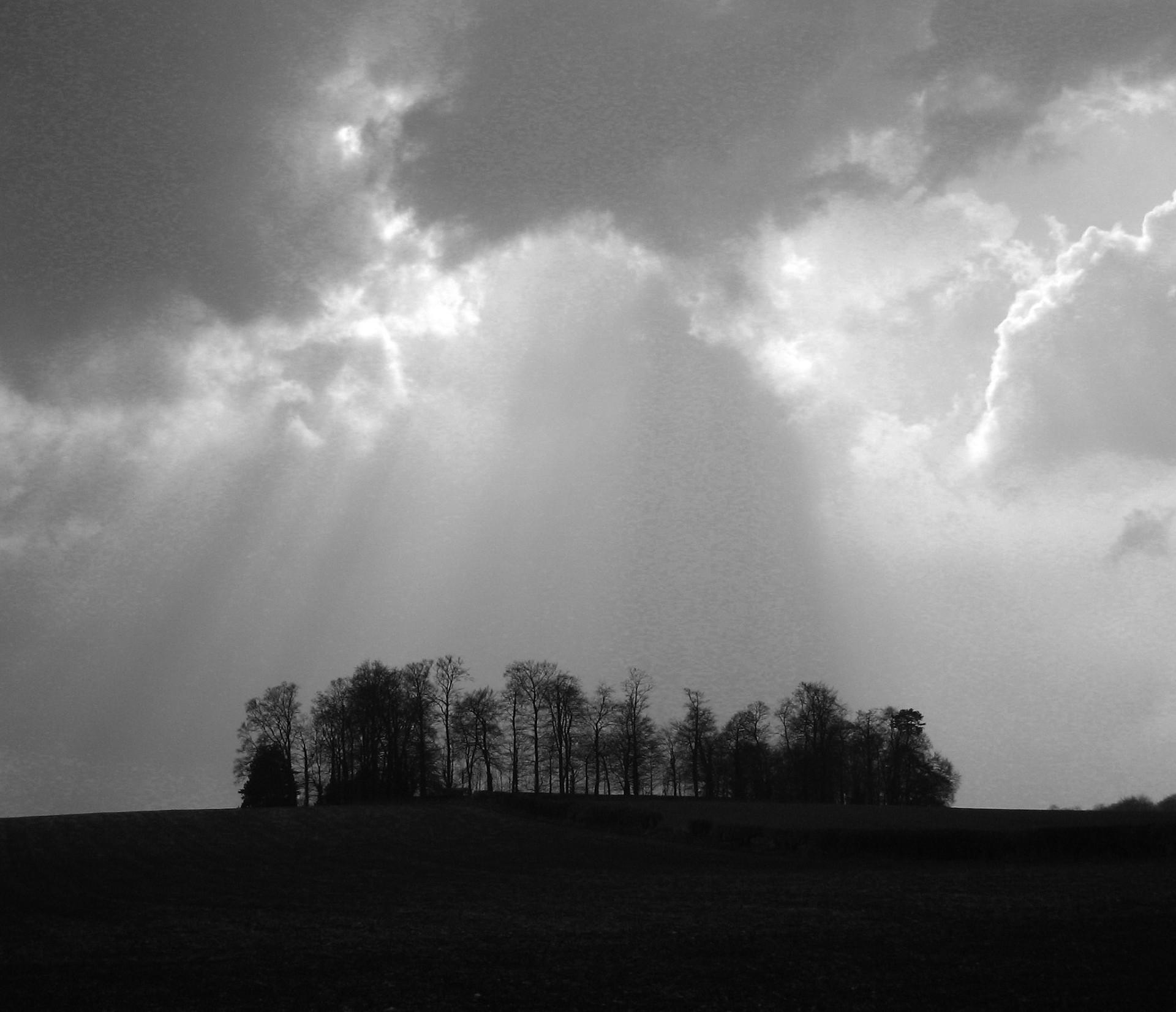 light will find a way.jpg