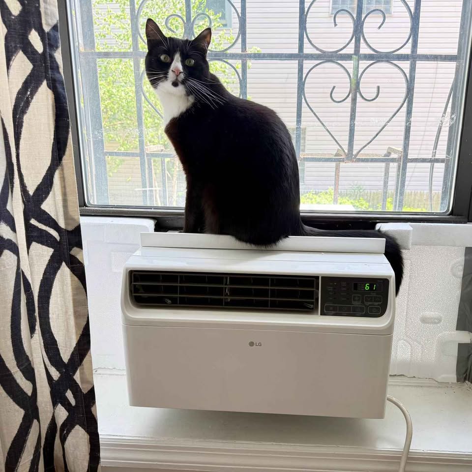 Window AC unit - installed