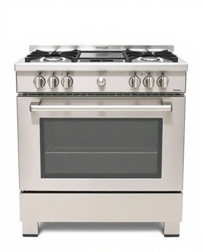 Gas range stove