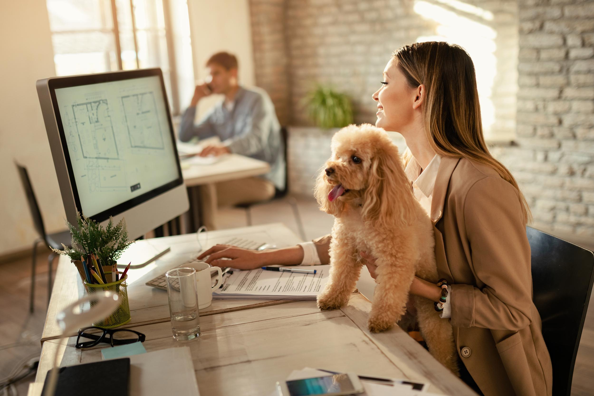 chien aux bureaux .jpg