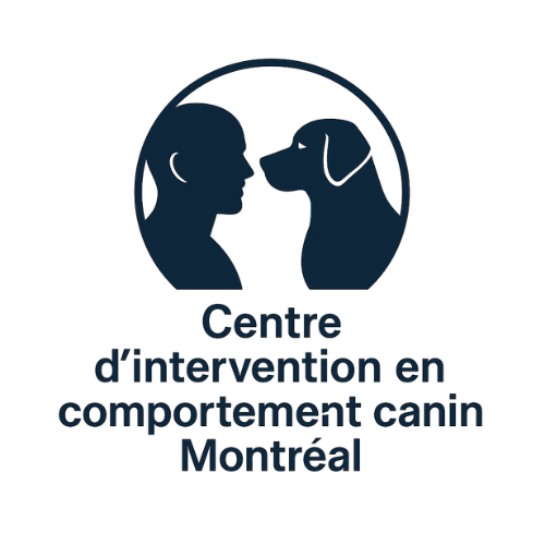 logo_v2_-1745517438911.png